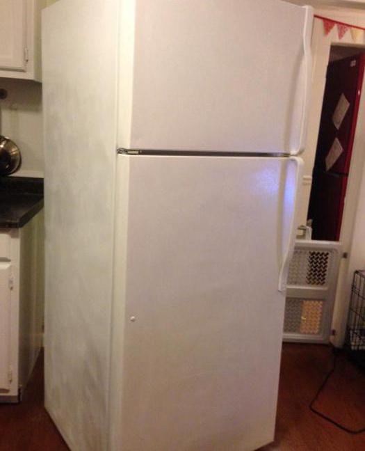 Kde prenajať starú chladničku za peniaze? Možné možnosti