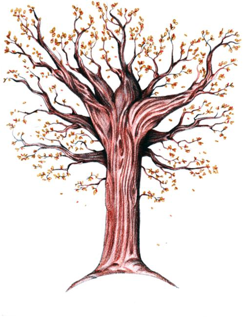 Ako nakresliť jesenný strom v etapách